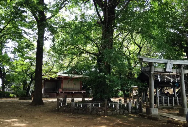 諏訪神社の写真・動画_image_93626