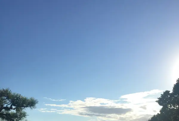 トラピスチヌ修道院の写真・動画_image_93677