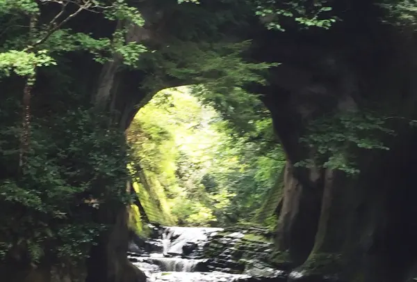 濃溝の滝の写真・動画_image_93838