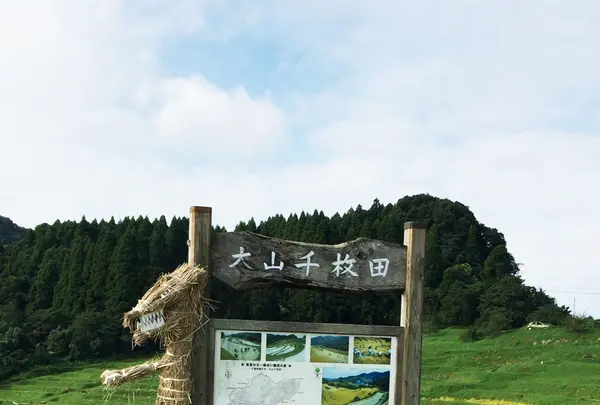 大山千枚田の写真・動画_image_93840