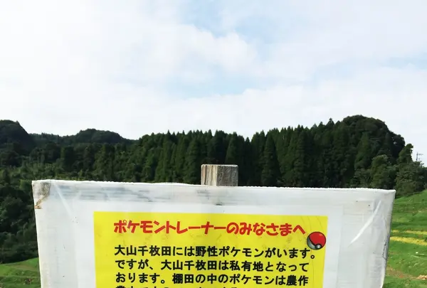大山千枚田の写真・動画_image_93841