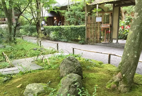 明月院（あじさい寺）の写真・動画_image_94022