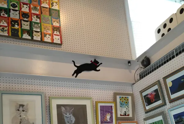 猫の箱の写真・動画_image_94029