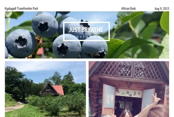 あららぎ園の写真・動画_image_94035