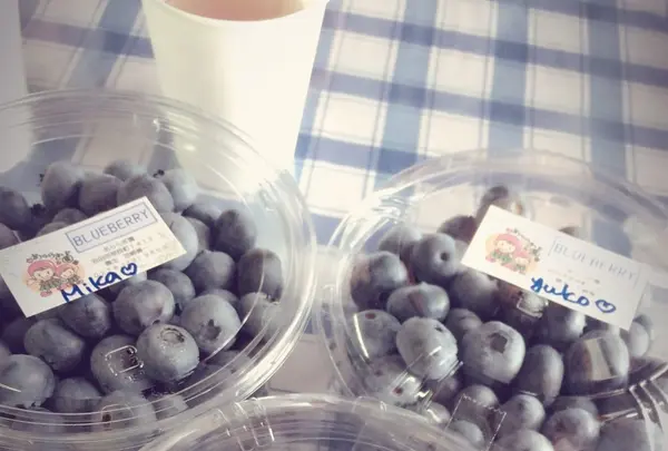 あららぎ園の写真・動画_image_94039