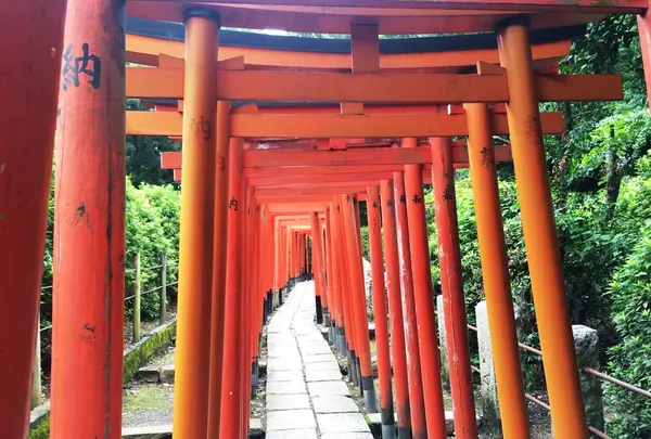 根津神社の写真・動画_image_94089