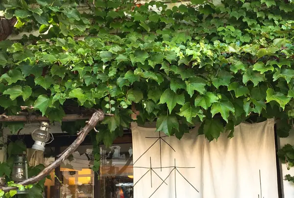 カフェ森彦の写真・動画_image_94139