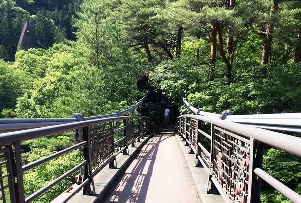 吹割の滝の写真・動画_image_94172