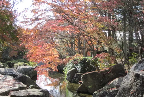 霞ヶ浦総合公園の写真・動画_image_94279