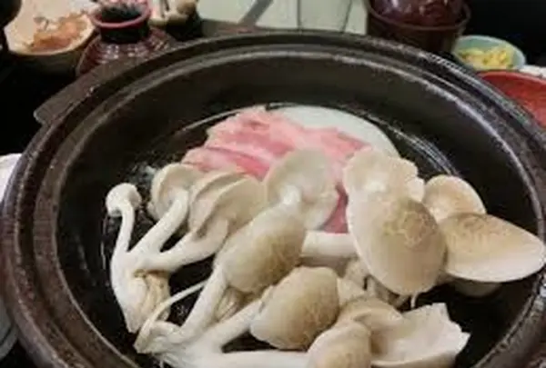 きのこむら深山の写真・動画_image_94282