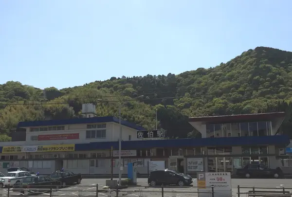 佐伯の写真・動画_image_94289