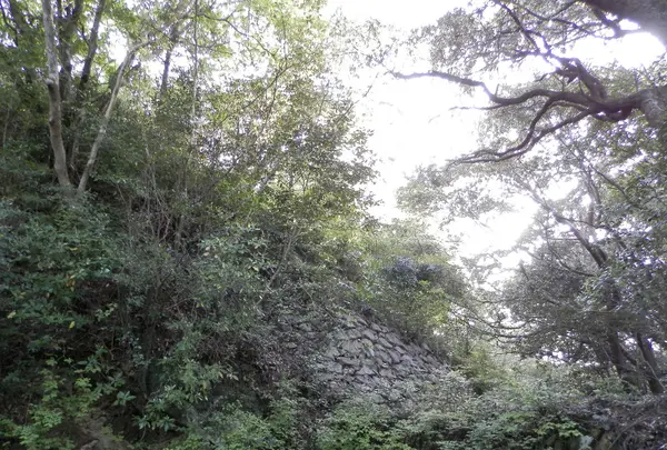 佐伯の写真・動画_image_94292