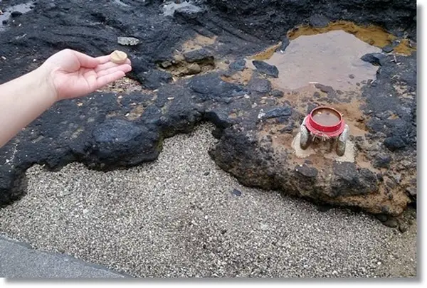 釜蓋神社の写真・動画_image_94332