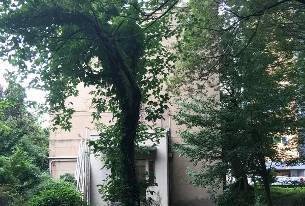 如是蔵博物館の写真・動画_image_94366