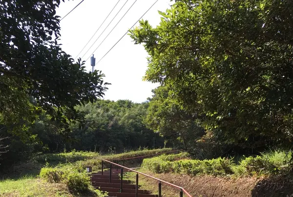 大野岳の写真・動画_image_94672