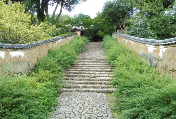 白毫寺の写真・動画_image_94735