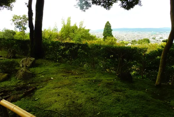 白毫寺の写真・動画_image_94739