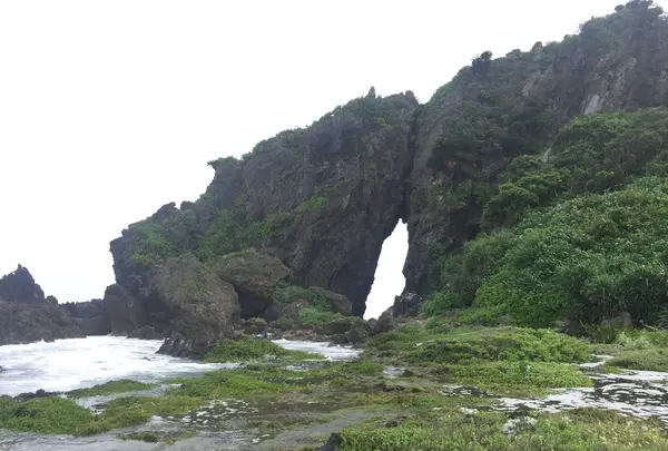 ミーフガーの写真・動画_image_94825