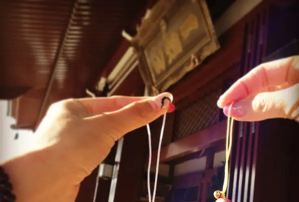 安楽寺の写真・動画_image_95053