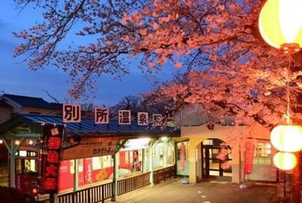 安楽寺の写真・動画_image_95054