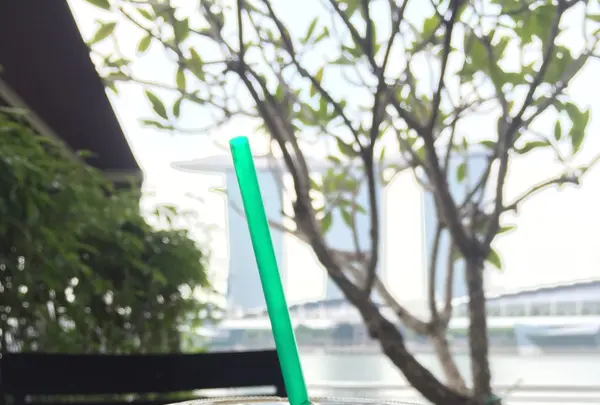 Starbucksの写真・動画_image_95069