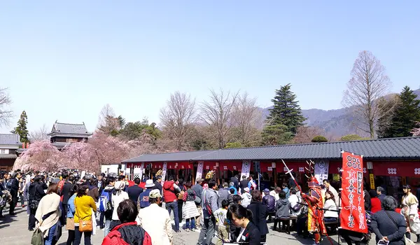 上田城跡の写真・動画_image_95097