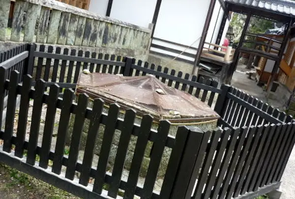 上田城跡の写真・動画_image_95104