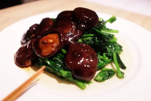 ミモザ （MIMOSA）の写真・動画_image_95174