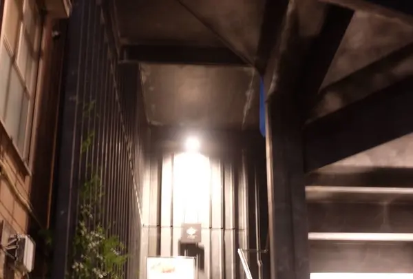 ミモザ （MIMOSA）の写真・動画_image_95180