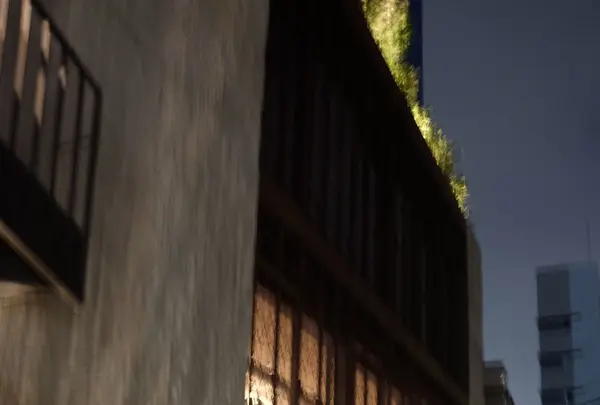 ミモザ （MIMOSA）の写真・動画_image_95181