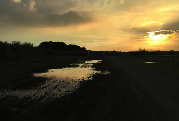 江川海岸の写真・動画_image_95182