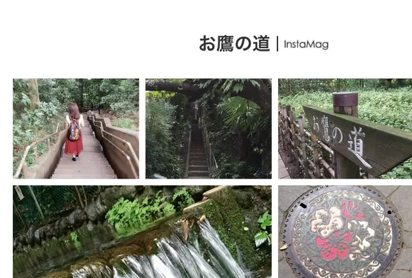 お鷹の道・真姿の池湧水群の写真・動画_image_95228