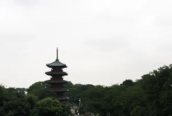 池上本門寺の写真・動画_image_95341