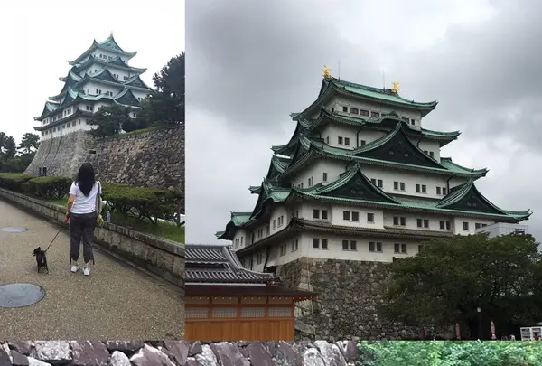 名古屋城の写真・動画_image_95348