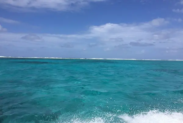 ハテの浜の写真・動画_image_95383