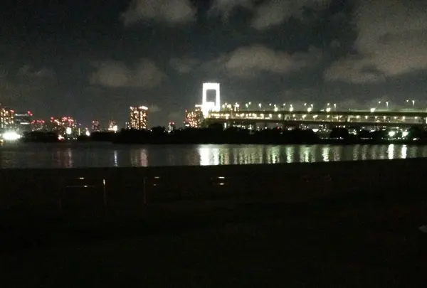 お台場海浜公園の写真・動画_image_95387