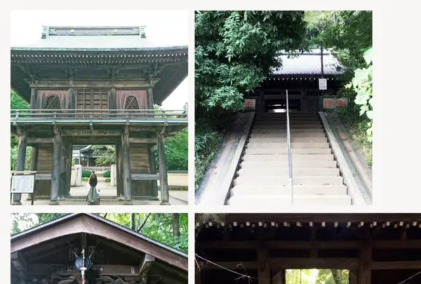 お鷹の道・真姿の池湧水群の写真・動画_image_95391