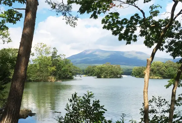 大沼国定公園の写真・動画_image_95441