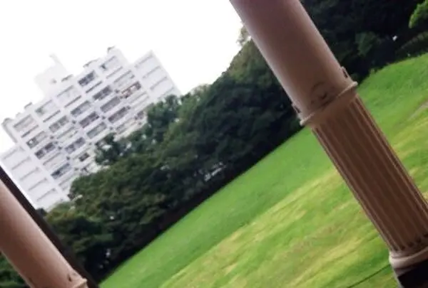 旧岩崎邸庭園の写真・動画_image_95509