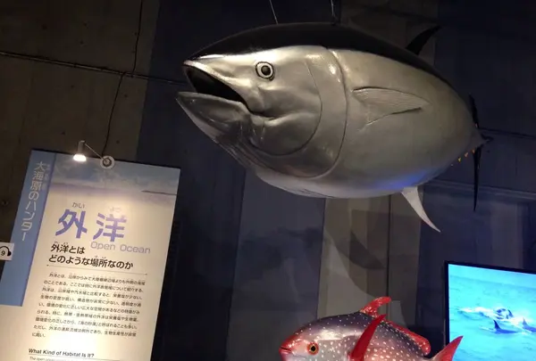 国立科学博物館の写真・動画_image_95510