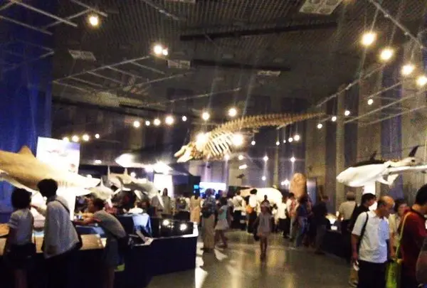 国立科学博物館の写真・動画_image_95511