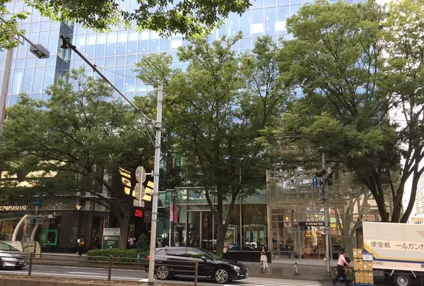 茶洒 金田中の写真・動画_image_95519