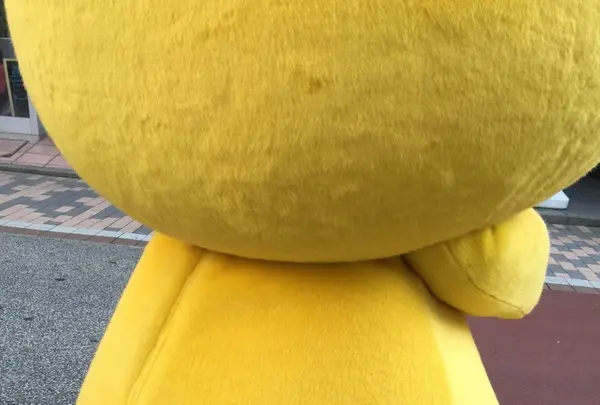 おずっちょの写真・動画_image_96308