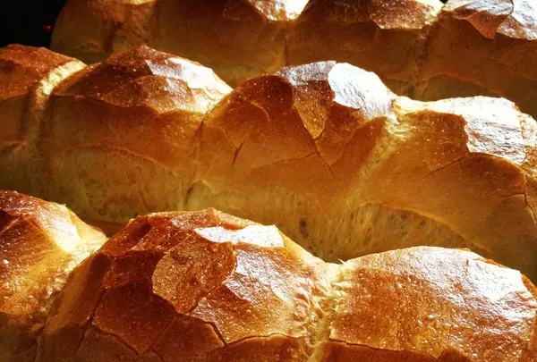 ippe coppeの写真・動画_image_96380