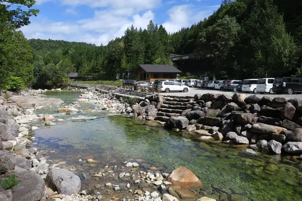赤沢自然休養林の写真・動画_image_96475