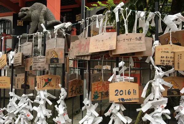 善国寺の写真・動画_image_96594