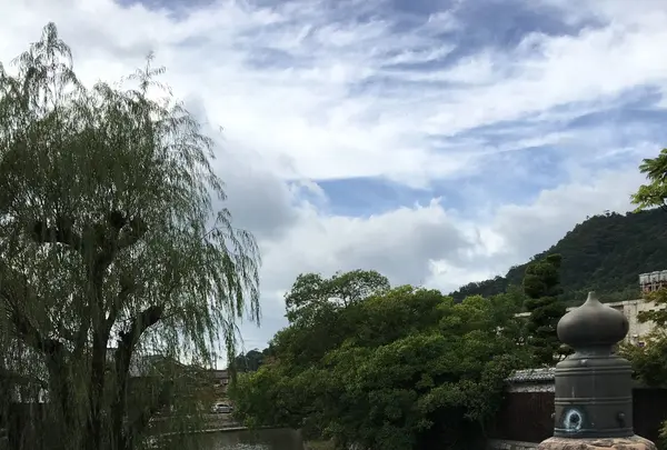 八幡堀の写真・動画_image_96953