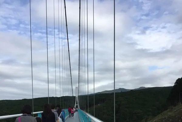 三島スカイウォークの写真・動画_image_97151
