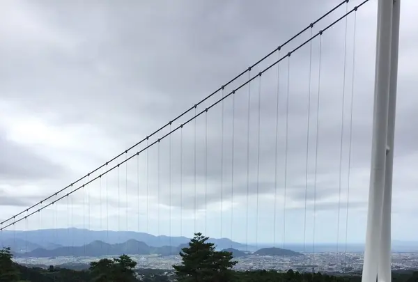 三島スカイウォークの写真・動画_image_97160