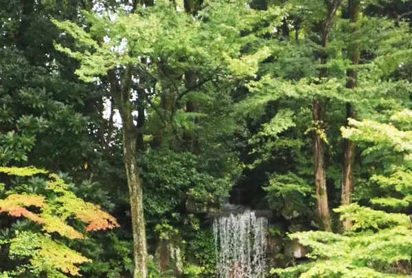 兼六園の写真・動画_image_97184